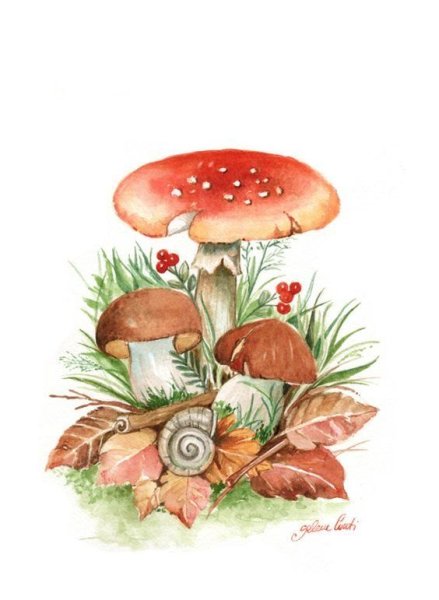 Мухомор акварель Сюзан Веллер