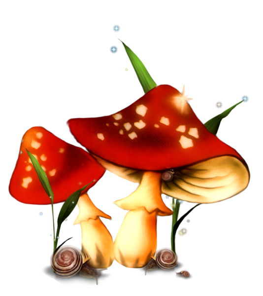 Грибы осенью для детей в детском саду