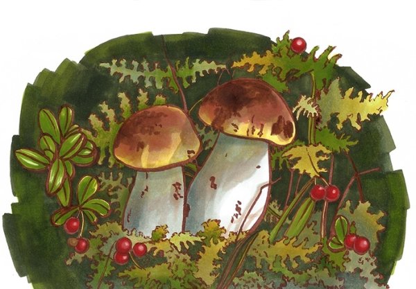 Ежик с грибами