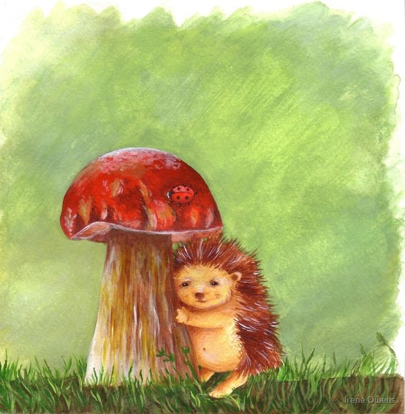 Гриб Боровик Сутеев