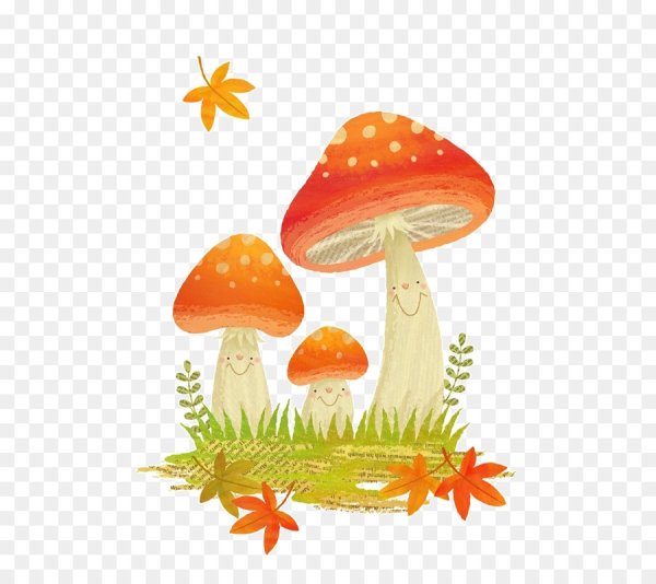 Рисование грибы