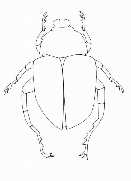 Нарисовать жука скарабея