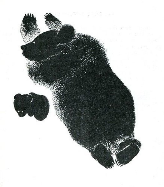 Евгений Чарушин Медвежонок