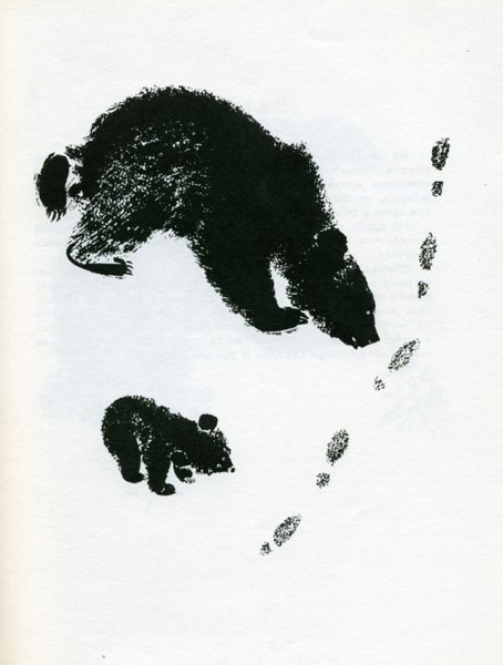 Евгений Чарушин иллюстратор