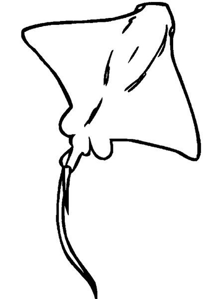 Рисуем ската