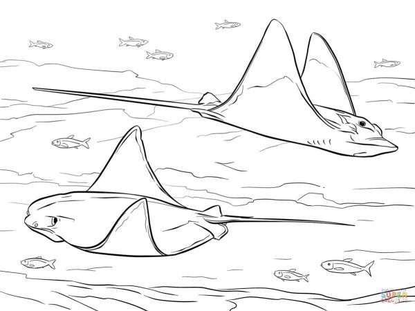 Морской Скат раскраска