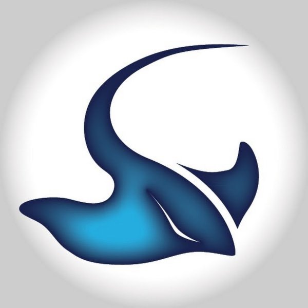 Электрический Скат логотип