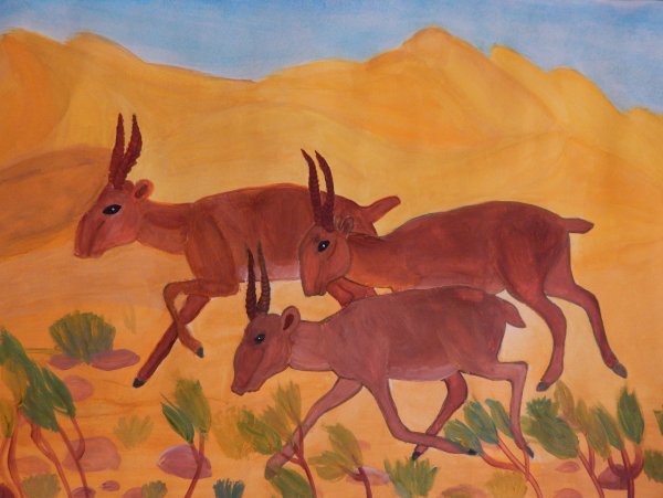 Картины сайгаки Калмыкии