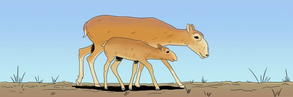 Сайгак мультяшный