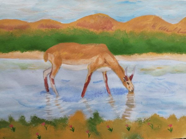 Композиция сайгаки