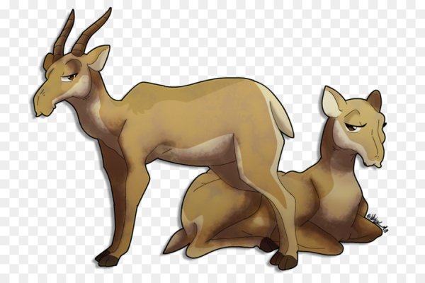 Сайгак без фона