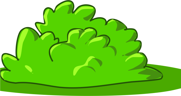 Нарисовать куст