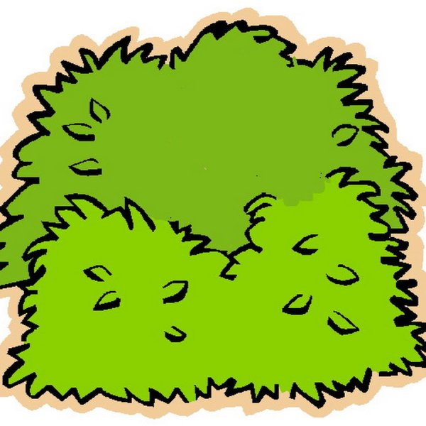 Нарисовать куст