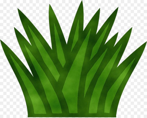 Кустик мультяшный