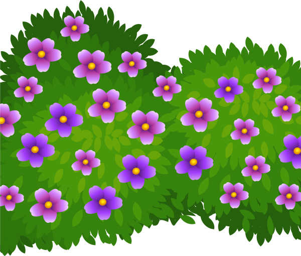 Кустарник раскраска