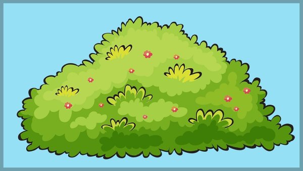 Рисование деревьев и кустарников