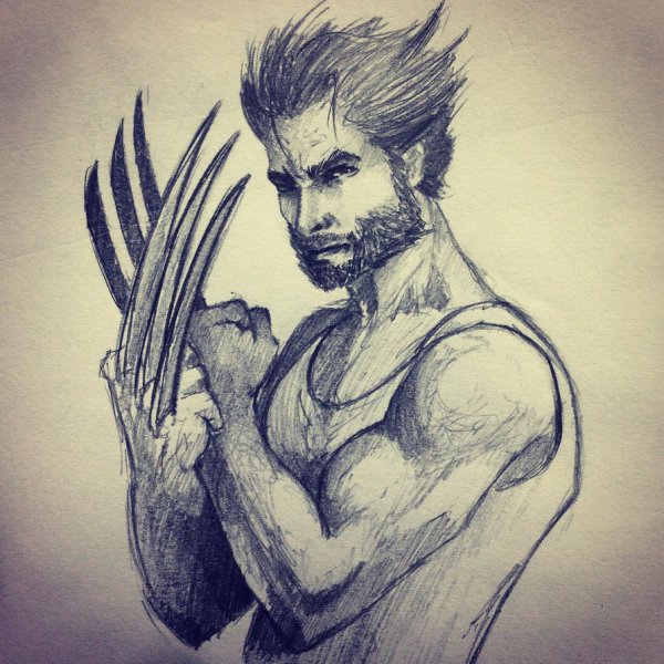 Раскраска Логан Росомаха