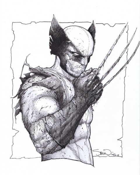 Росомаха цветной Марвел