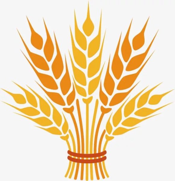 Сноп колосьев вектор