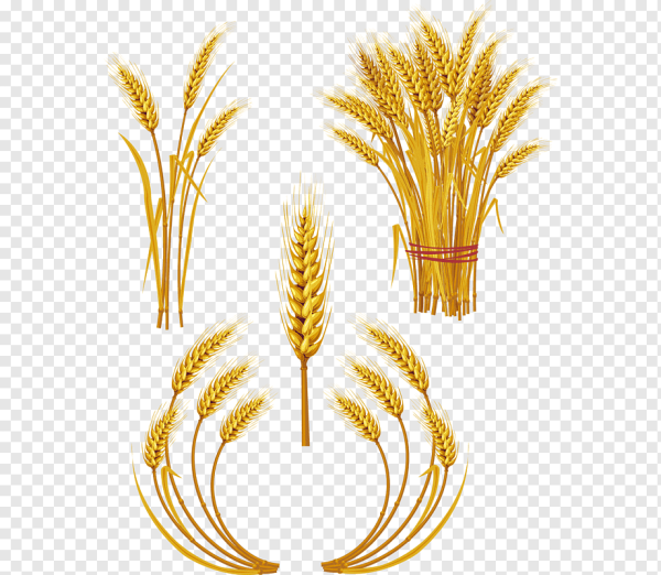 Стилизованные колоски