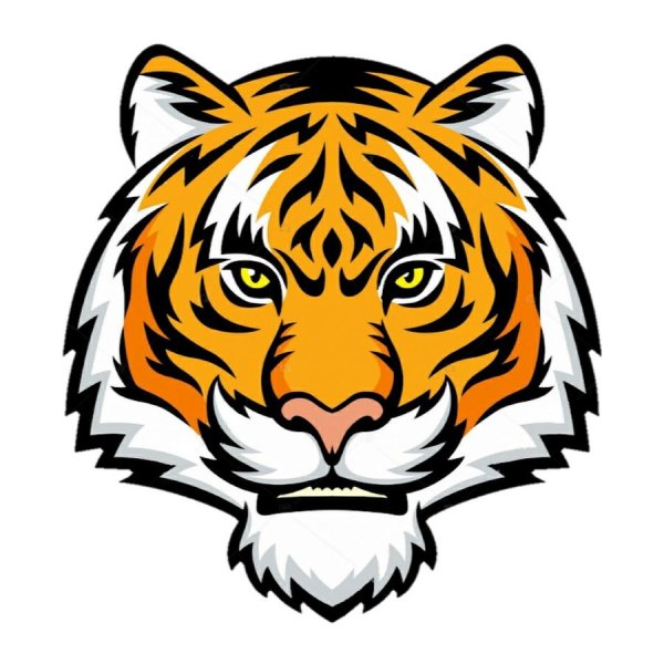 Тигр голова