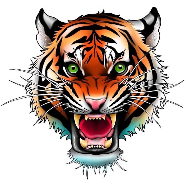 Мордочка тигра