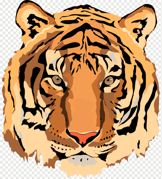 Голова тигра