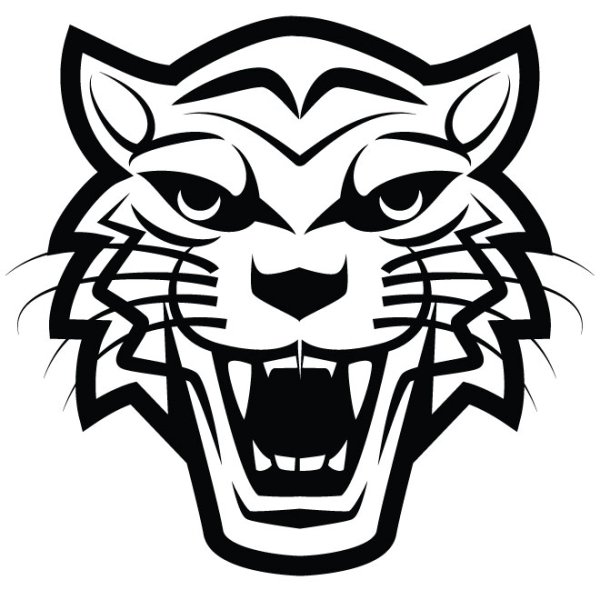 Тигр голова вектор