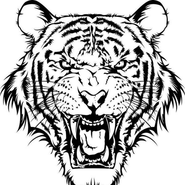 Тигр оскал тату эскиз