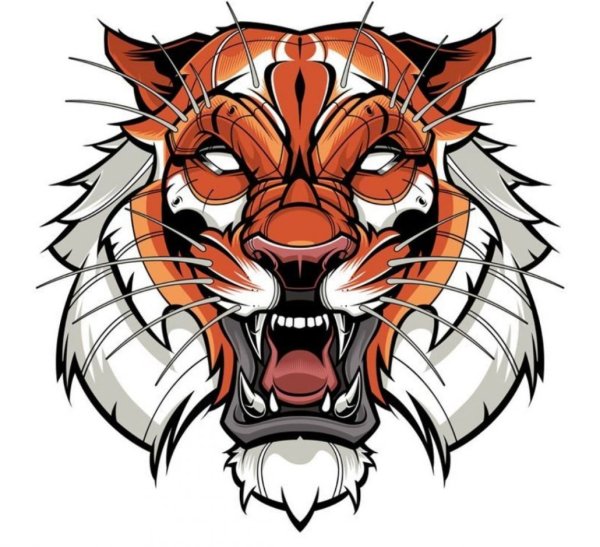 Голова тигра тату эскиз