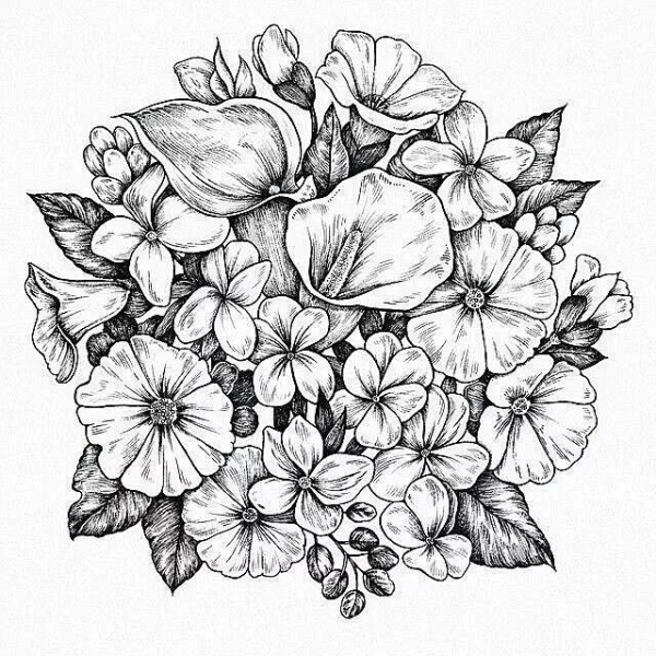 Цветы Графика