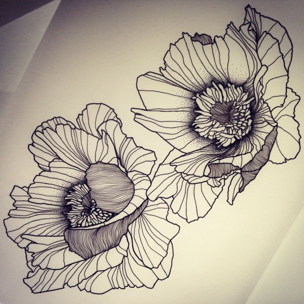 Цветы в графике