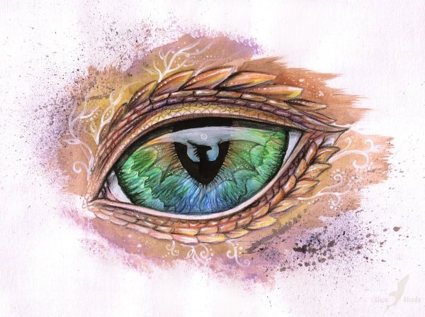 Драконий глаз арт