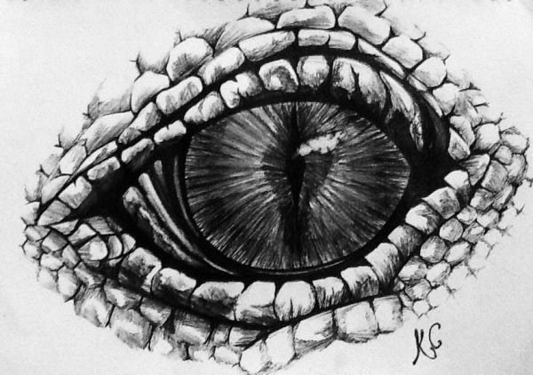 Змеиный глаз эскиз