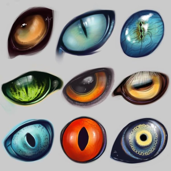 Глаз дракона референс