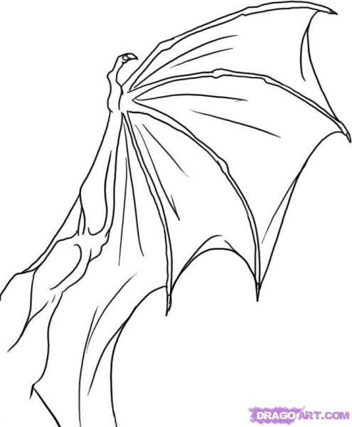 Крылья дракона