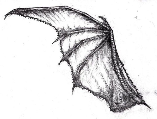 Крылья дракона