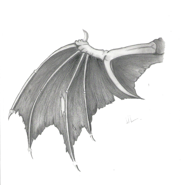 Драконьи Крылья