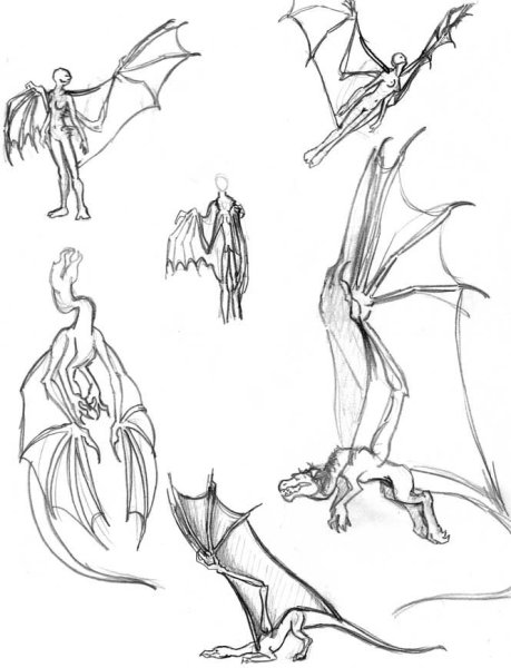 Анатомия дракона референс