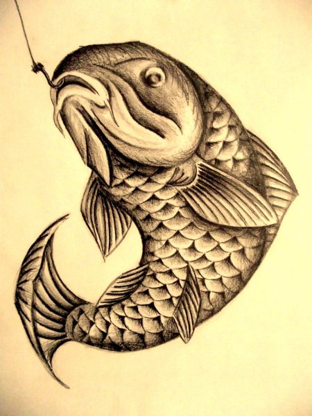 Рыба Карп