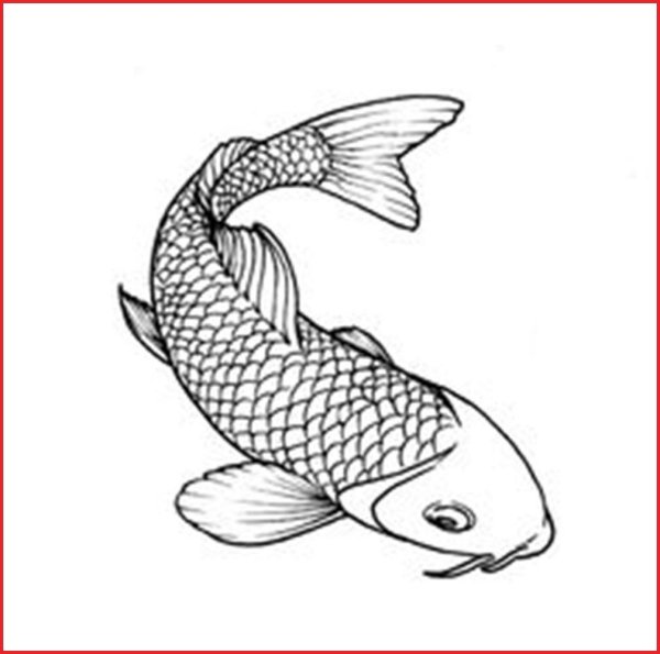 Рыбка эскиз
