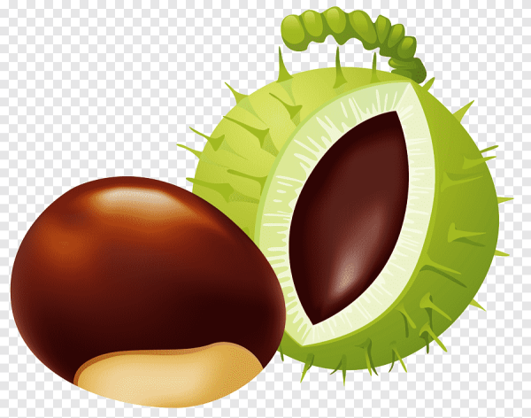 Каштан мультяшный