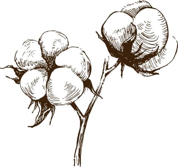 Хлопок карандашом