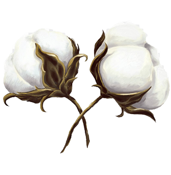 Хлопок мультяшный