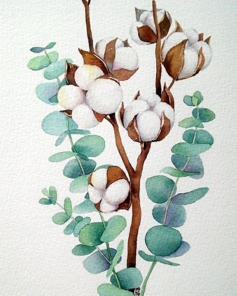 Хлопок акварель