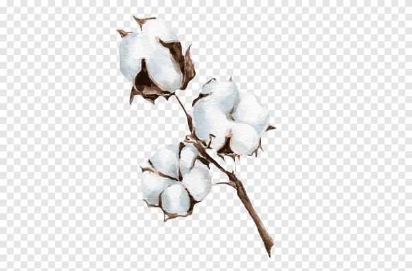 Рисование хлопок