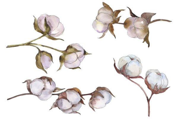 Акварельные иллюстрации