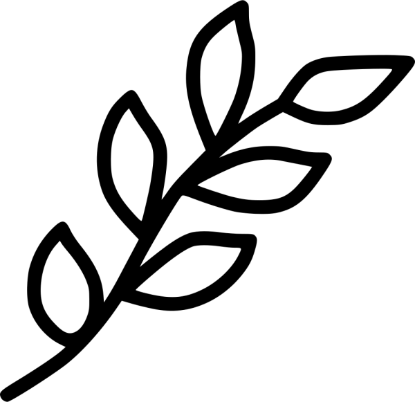 Ветка с листьями