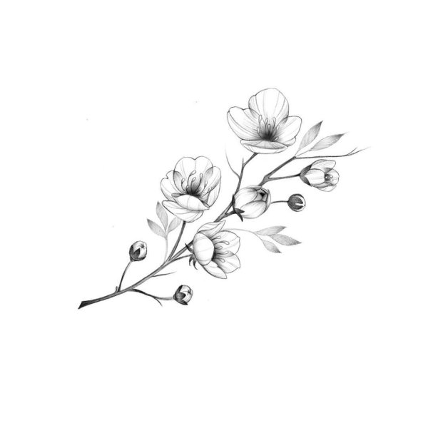 Ветка цветов тату эскиз