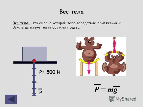 Сила веса тела физика